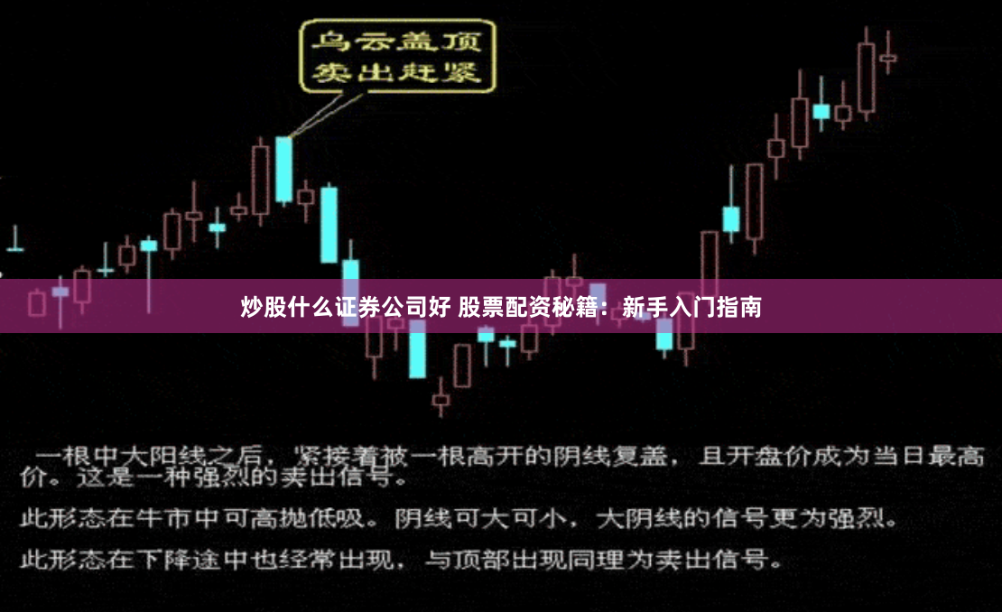 炒股什么证券公司好 股票配资秘籍：新手入门指南
